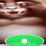 Talking Gorilla