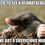 mole wat | I NEED TO SEE A DERMATOLOGIST; I'VE GOT A SUSPICIOUS MOLE | image tagged in mole wat | made w/ Imgflip meme maker