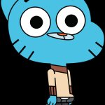 Gumball the cat