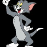 Tom the cat (2025)