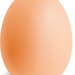 Egg