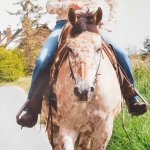 Cowboy feeling
