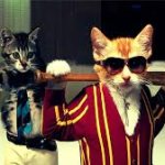 Gangster Kitty