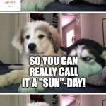 Sorry I just had this sudden urge to make this pun. | IT'S GOING TO BE HOT ON SUNDAY; SO YOU CAN REALLY CALL IT A "SUN"-DAY! | image tagged in bad pun dogs,puns,sunday,memes | made w/ Imgflip meme maker