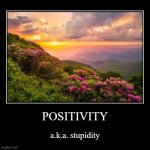POSITIVITY | a.k.a. stupidity | image tagged in funny,demotivationals | made w/ Imgflip demotivational maker