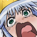 index screaming