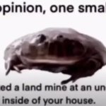 Nice opinion