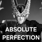 Absolute Perfection