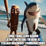 Ok | TUNG TUNG LERO SAHUR LA OR SMTH IDK I'M NEW AT ITALIAN BRAINROT COMBINATIONS | image tagged in brainrot | made w/ Imgflip meme maker
