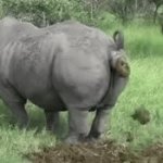 Taco Bell | Me after eating at Taco Bell | image tagged in gifs,taco bell | made w/ Imgflip video-to-gif maker