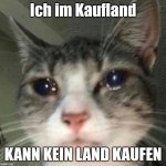 KauflandSadCat | Ich im Kaufland; KANN KEIN LAND KAUFEN | image tagged in crying cat | made w/ Imgflip meme maker