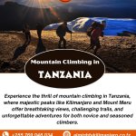 Mount Kilimanjaro Trekking Tours In Tanzania