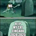 my cat is ded (real) | ME; R.I.P
MY CAT
CINCAOU
2024-2025 | image tagged in grave spongebob,cat,pet cat,meow | made w/ Imgflip meme maker
