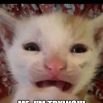 Be confident | THEM BE LIKE: CONFIDENCE IS THE KEY! ME: I'M TRYING!!! | image tagged in scared crying cat | made w/ Imgflip meme maker