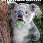 feel old | ON THIS DAY, WE ARE CLOSER TO 2050 THEN 2000 | image tagged in memes,surprised koala | made w/ Imgflip meme maker
