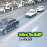 Not the Sharpest Knife in the Drawer | Follow The Ball? ??????? | image tagged in gifs,i'm the dumbest man alive,billy what have you done,dumb people,excuse me what the heck,darwin award | made w/ Imgflip video-to-gif maker