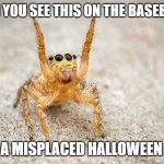 resuming (with rhyme☺) after some explanatory meme and a morning of cleaning | WHEN YOU SEE THIS ON THE BASEBOARD; WAS A MISPLACED HALLOWEEN RING | image tagged in cute spider israel,meme captioned by memedian,///////_________,a riddle in tag three,thxs 24 fwrs,no use of a graffito | made w/ Imgflip meme maker