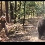 Poking the bear