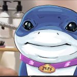 jeff shark
