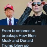 Trump Musk