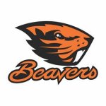 Beaver
