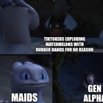 How to train your dragon 3 | TIKTOKERS EXPLODING WATERMELONS WITH RUBBER BANDS FOR NO REASON; GEN ALPHA; MAIDS | image tagged in how to train your dragon 3 | made w/ Imgflip meme maker