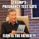 Musk | TRUMP'S PREGNANCY TEST SAYS; ELON IS THE FATHER !!! | image tagged in memes,maury lie detector | made w/ Imgflip meme maker