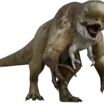 Distortus Rex 2