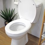 Flirting toilet