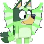 Freddie Schrödinger