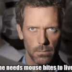 Mouse Bites