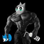 irys chad