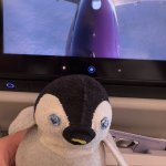Penguin plush on plane