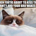 grumpy cat bed | WHEN YOU'RE ABOUT TO KISS THAT FINE SHAWTY AND YOUR BRO WAKES YOU UP | image tagged in grumpy cat bed | made w/ Imgflip meme maker