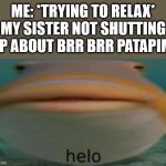 I just don't get Italian Brainrot. Whoever laughs at italian brainrot has liss of a brain than a pea. | ME: *TRYING TO RELAX*
MY SISTER NOT SHUTTING UP ABOUT BRR BRR PATAPIM: | image tagged in helo,brainrot,why,true | made w/ Imgflip meme maker