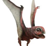 Anurognathus (JWA Design)