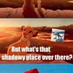 Simba Shadowy Place Meme | EVERYTHING THE LIGHT TOUCHES IS THE INTERNET, SIMBA. DON'T EVEN GET ME STARTED. | image tagged in memes,simba shadowy place | made w/ Imgflip meme maker