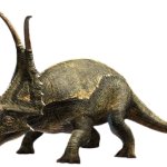 Diabloceratops (JWA Design)
