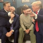 Elon Fighting Trump