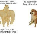 Reporting catfish scammers on Twitter meme