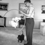 Curtis LeMay & His Flying Poodle