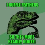 Philosoraptor | I RUFFLE FEATHERS; SO THEY MORE READILY IGNITE! | image tagged in memes,philosoraptor | made w/ Imgflip meme maker