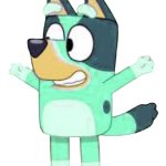 Kkuity Nyltick