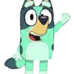 Kkuity Nyltick