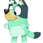 Kkuity Nyltick