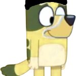Kevin Nyltick
