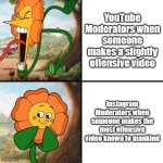 angry flower | YouTube Moderators when someone makes a slightly offensive video; Instagram Moderators when someone makes the most offensive video known to mankind | image tagged in angry flower | made w/ Imgflip meme maker