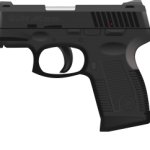 Gun