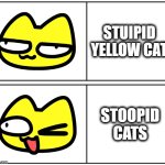 Stoopid Cats what's up | STUIPID YELLOW CAT; STOOPID CATS | image tagged in stoopid cats,stoopid,cat meme,drake,funny | made w/ Imgflip meme maker
