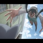 Yor chasing a cat